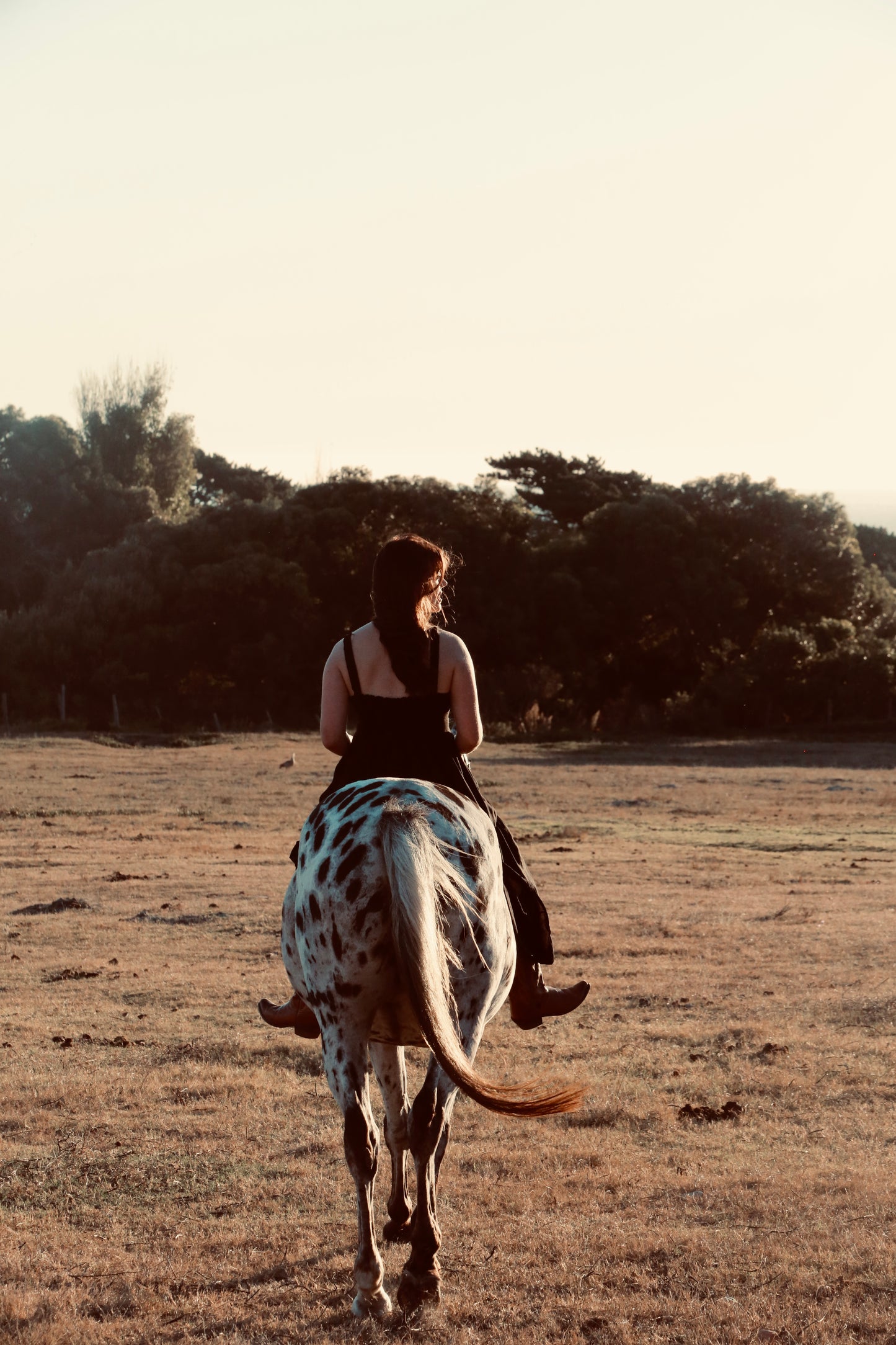 Logan Maxi Dress | Black