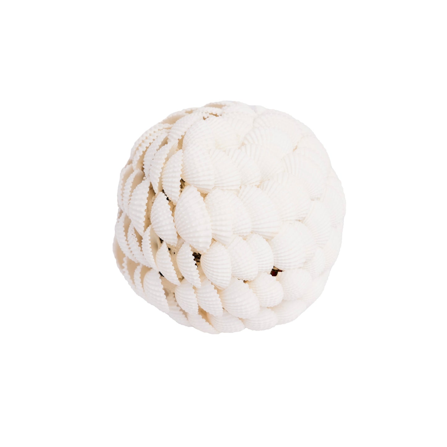 Clam Shell Sphere