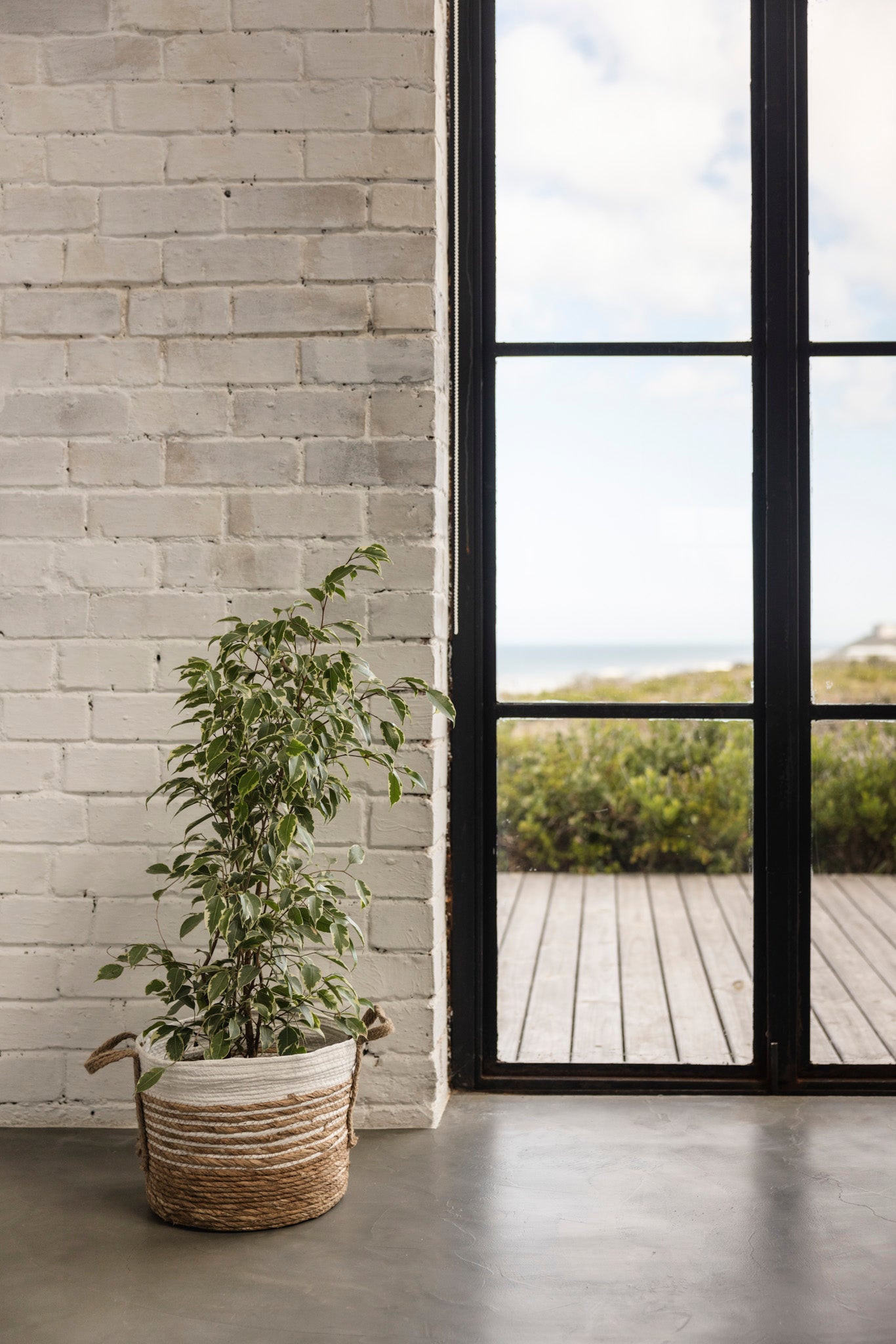 Vanilla Swirl Basket | Large