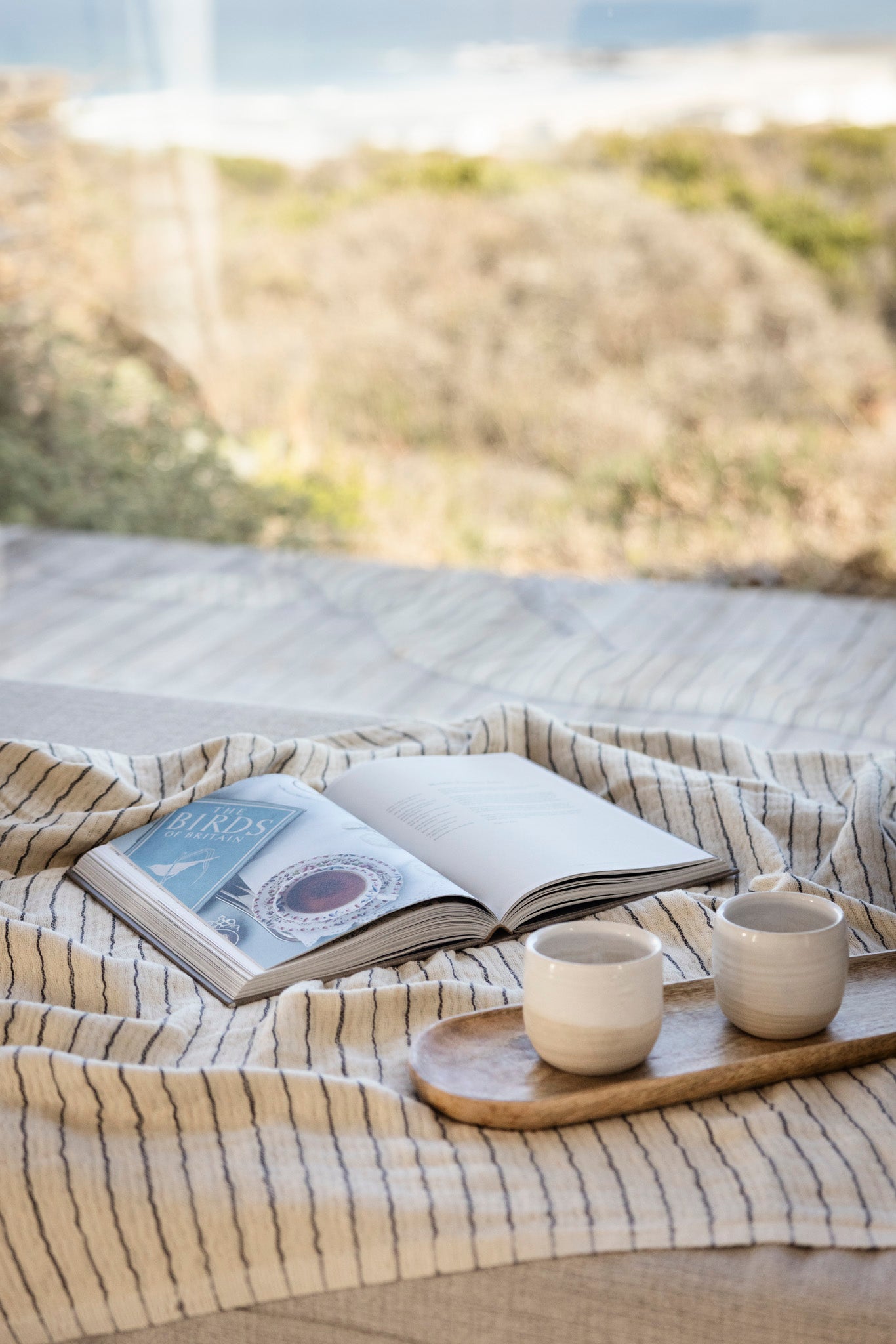 Mango Wood Tray | Oval