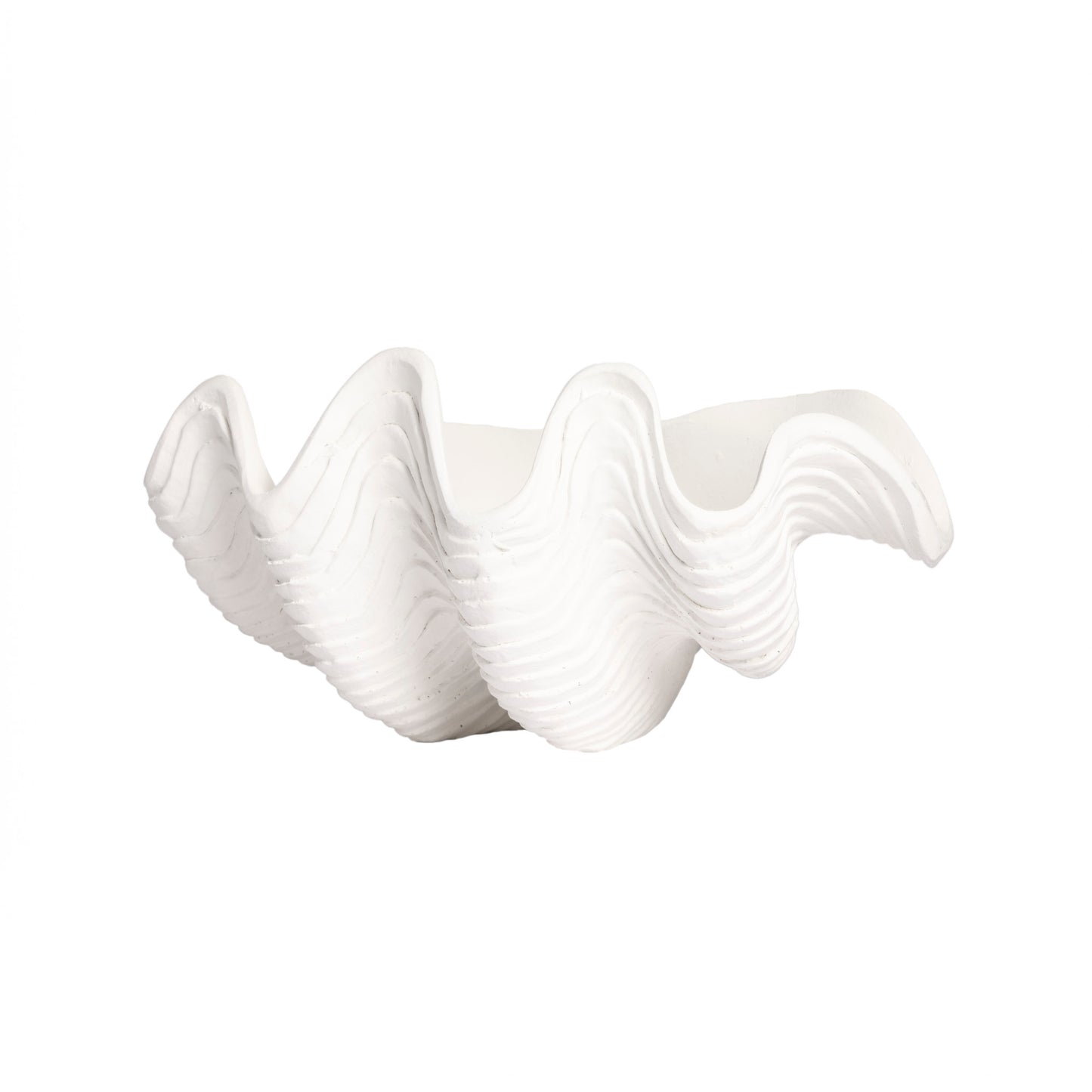 White Resin Clam Shell