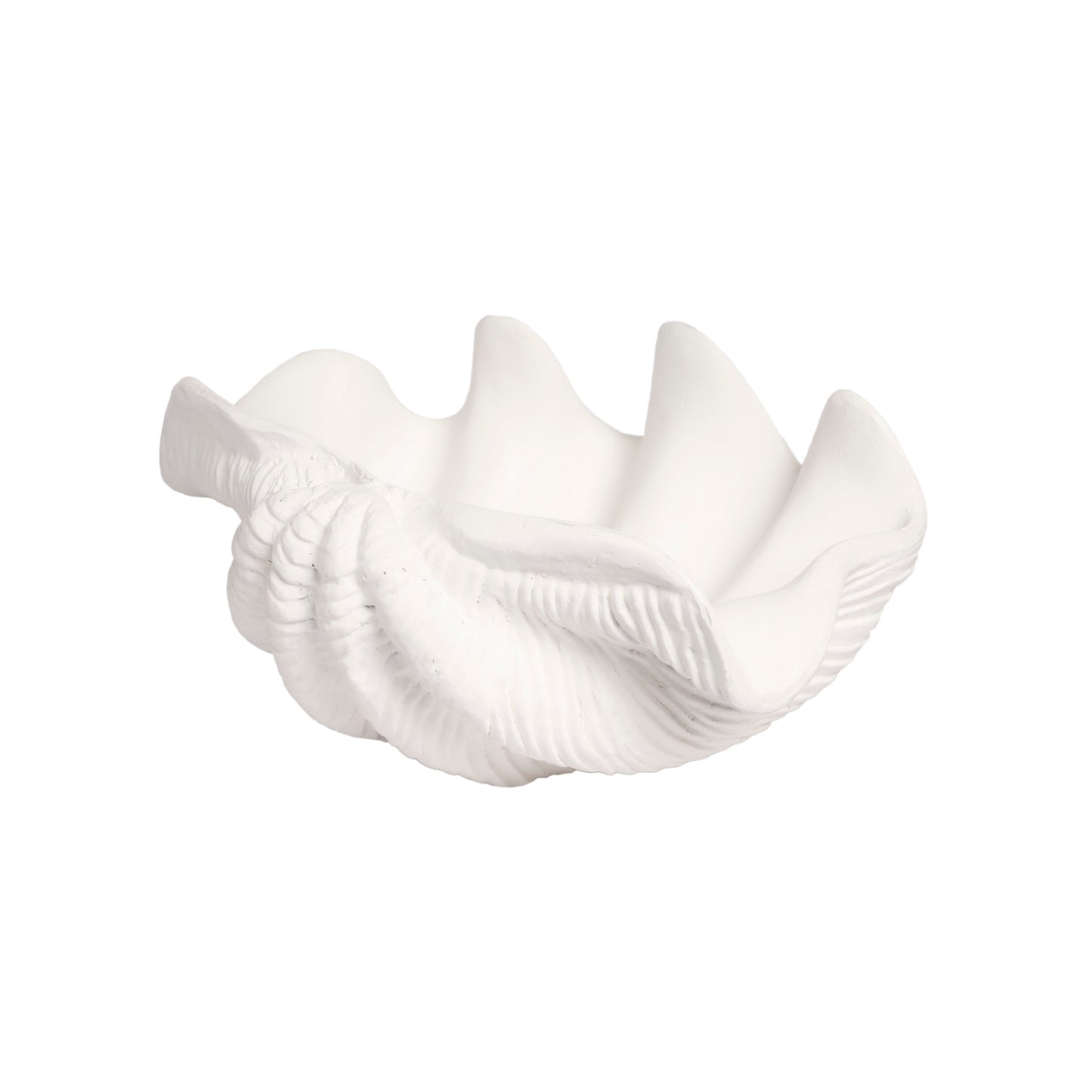 White Resin Clam Shell