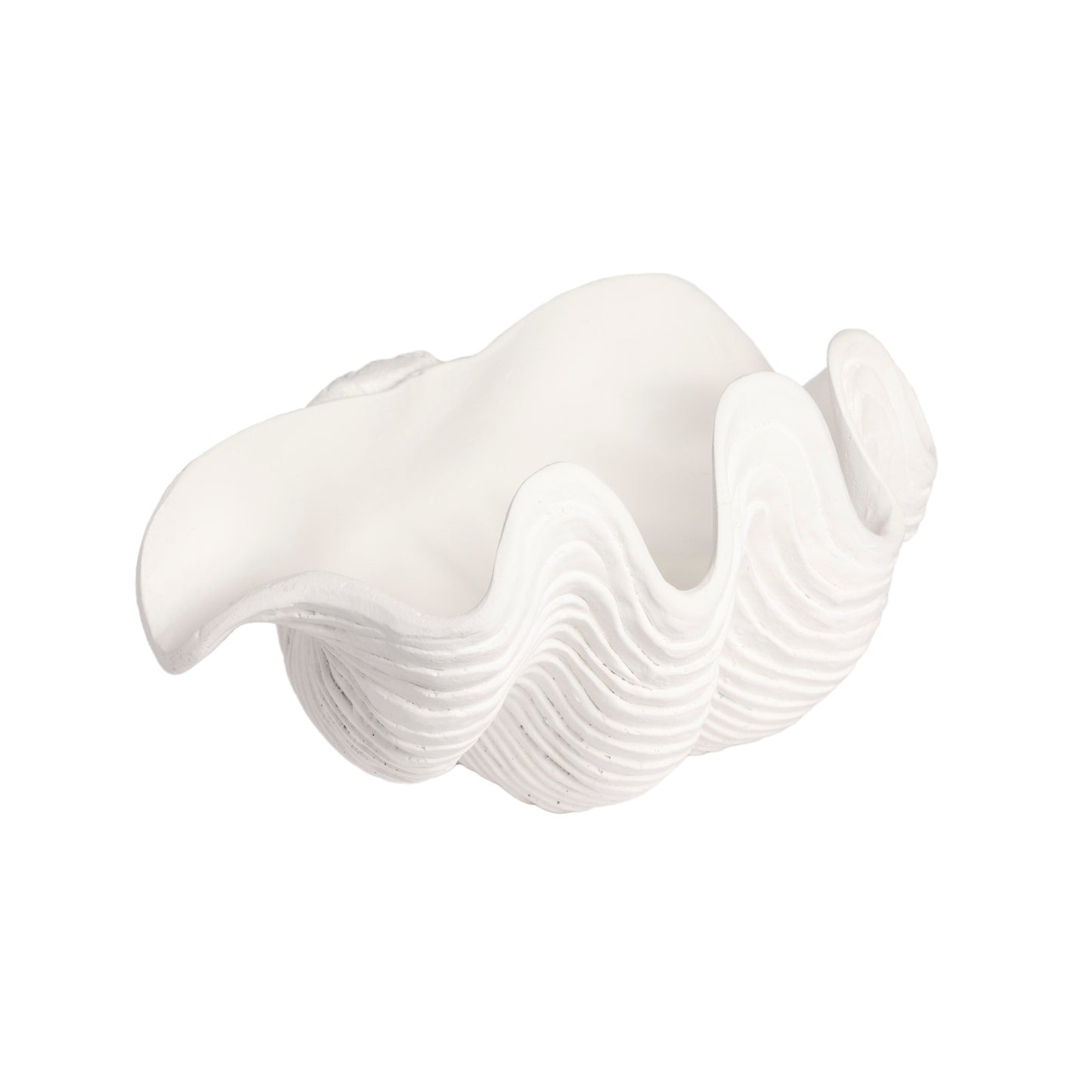 White Resin Clam Shell