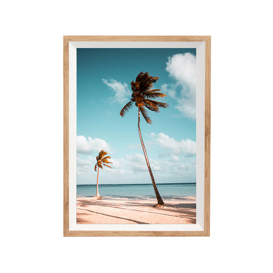Find Me Under The Palms | Print