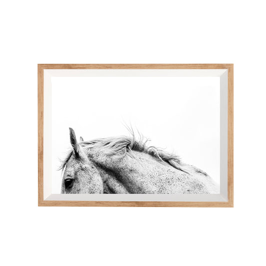 Little Duke | Black & White Horse Print
