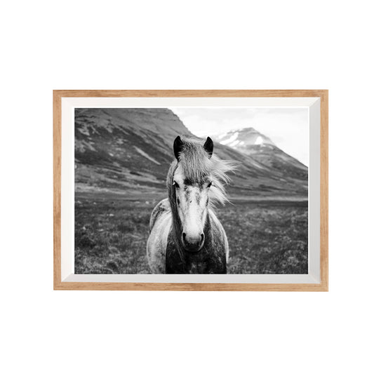 Twilight | Black & White Horse Print